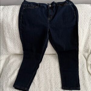 Lane Bryant Midnight Blue Skinny Jeans